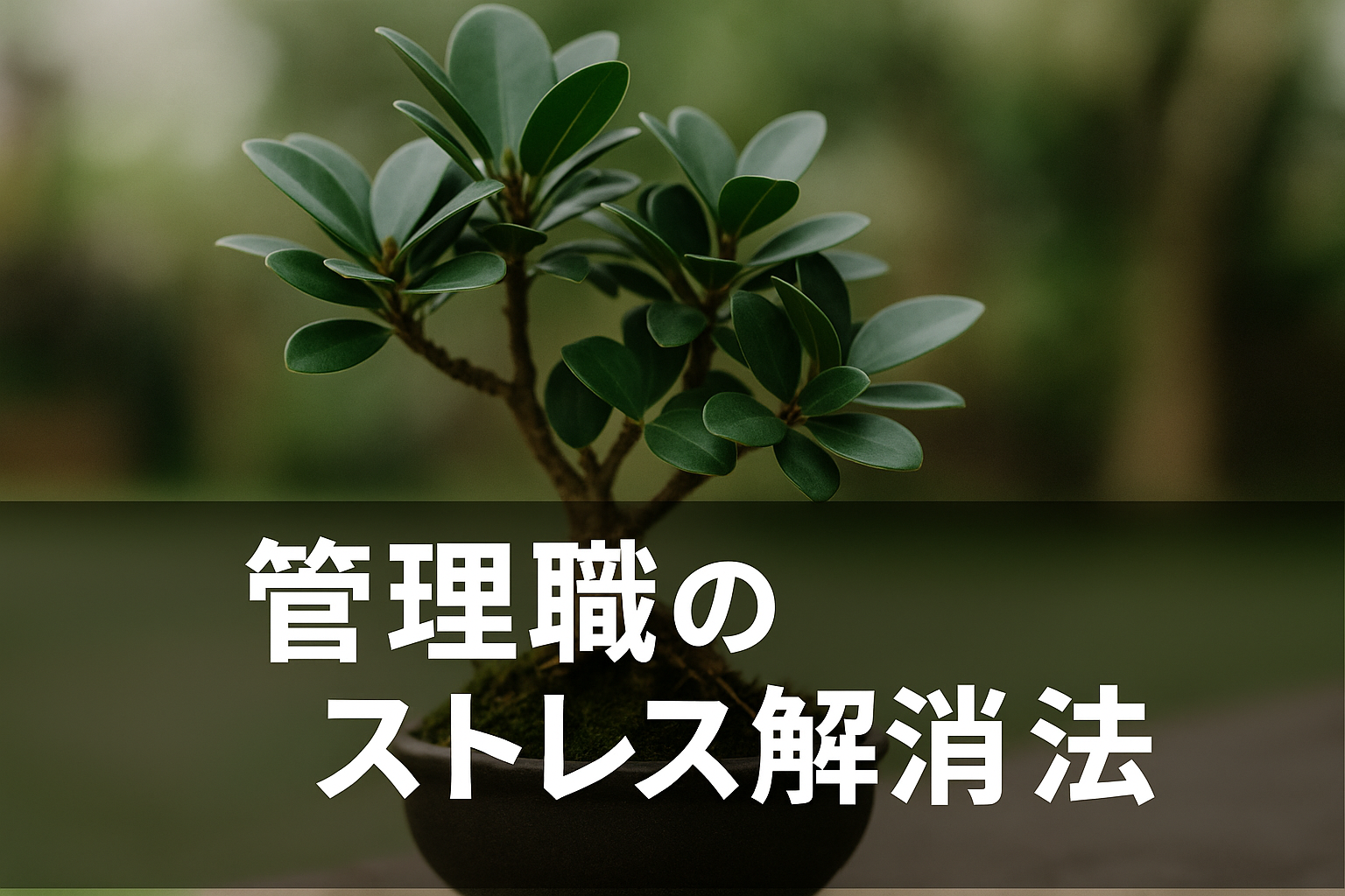 管理職のストレス解消法|盆栽で見つけた心の平穏と部下指導のヒント